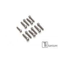CNC Racing Titanium Bolt kit for CNC's Triples for the Hypermotard 821 / 939 / 950 models (PS523B and PS535B) CNC Racing Titanium Bolt kit for CNC's Triples for the Hypermotard 821 / 939 / 950 models (PS523B and PS535B)